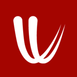 Windy.com logo